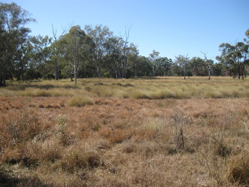 Off Warrego Highway, Yuleba QLD 4427