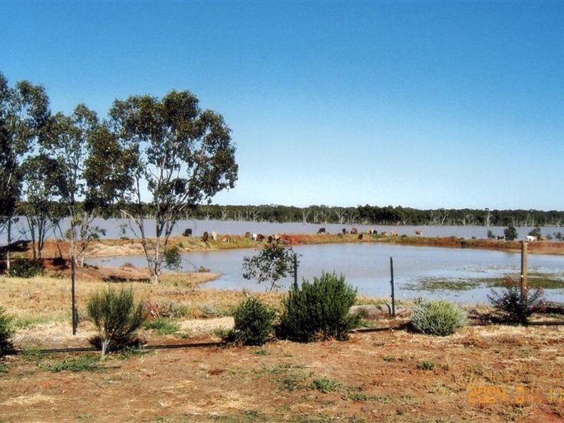 0 Begonia Road, Roma QLD 4455