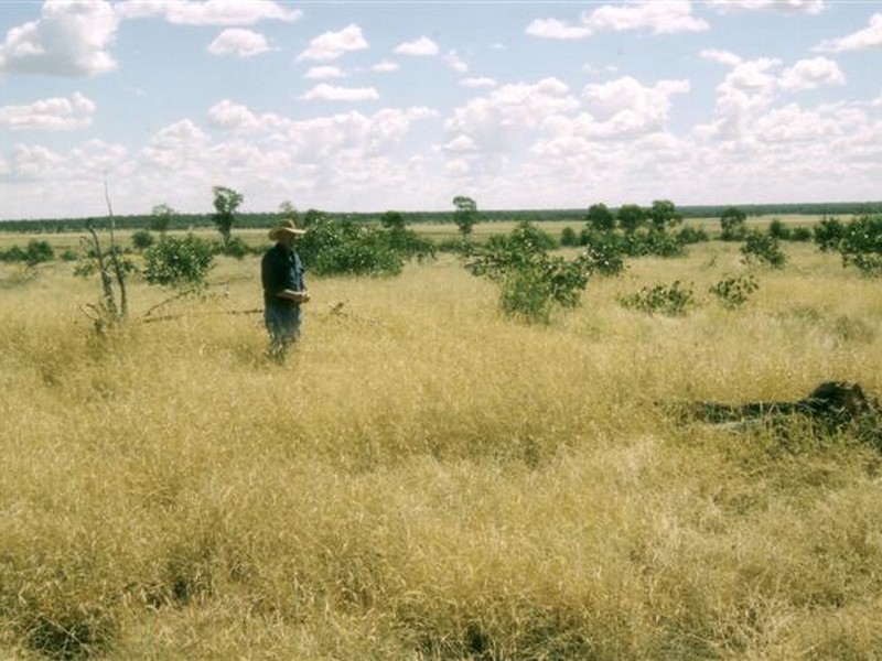 0 Begonia Road, Roma QLD 4455