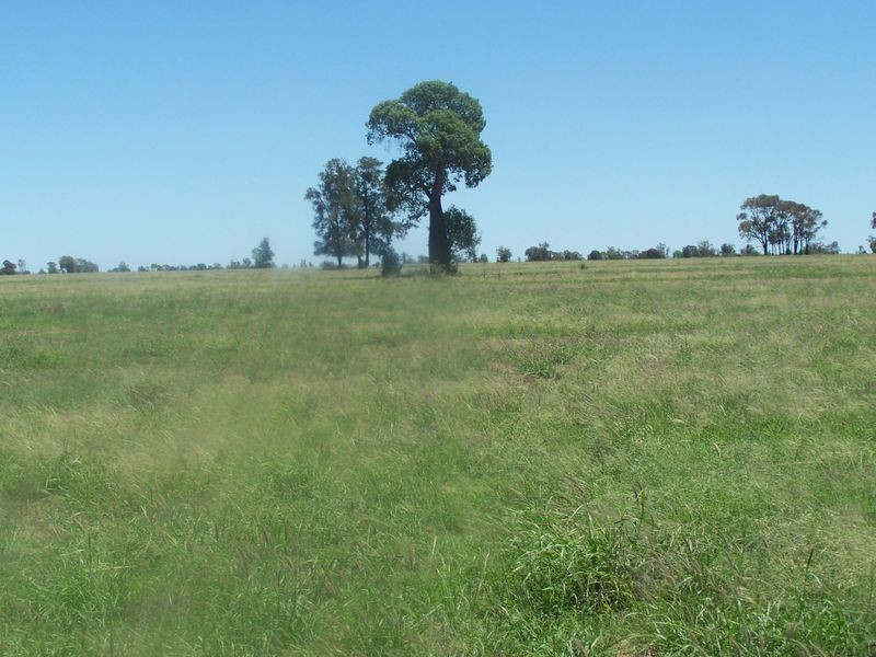 Warrego Highway, Wallumbilla QLD 4428