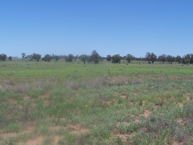 Warrego Highway, Wallumbilla QLD 4428