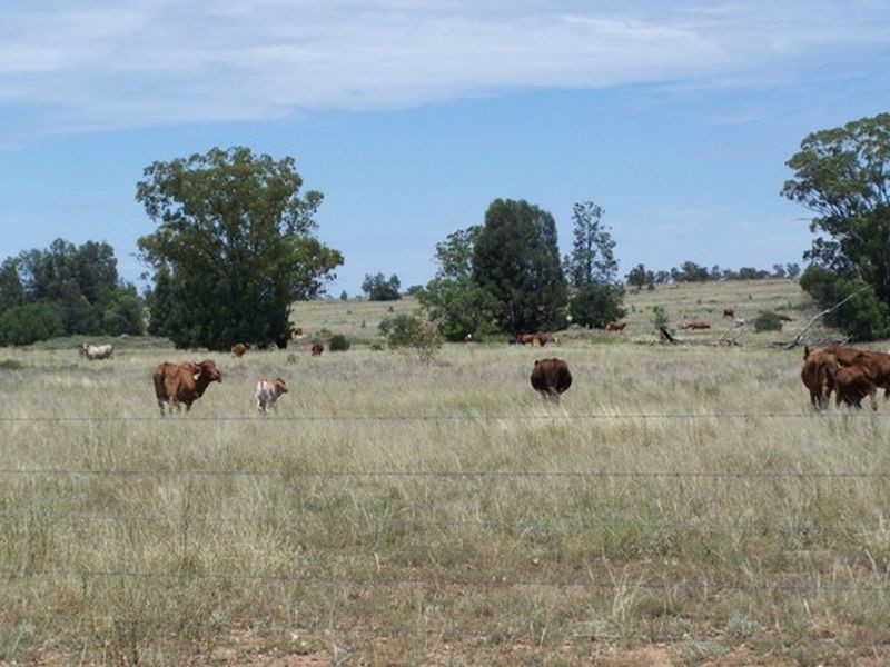 Warrego Highway, Wallumbilla QLD 4428