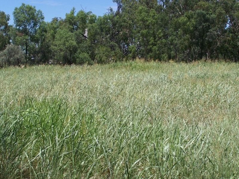 Warrego Highway, Wallumbilla QLD 4428