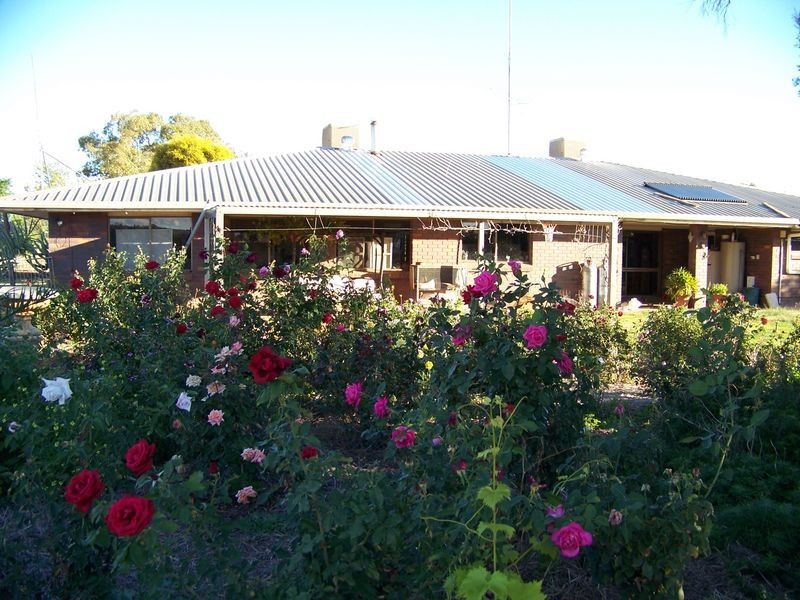 Maranoa Road, Surat QLD 4417