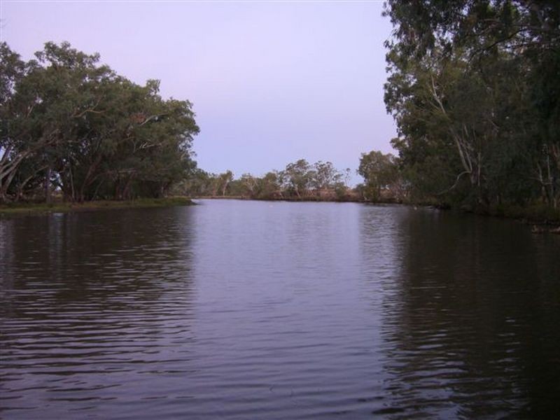 Maranoa Road, Surat QLD 4417