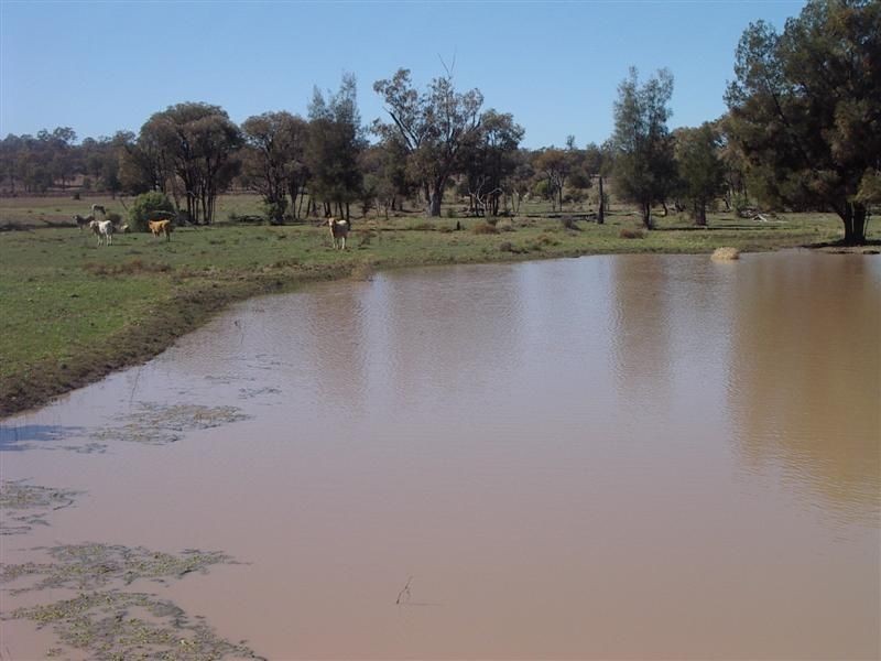 ‘Baramar’ Wallumbilla, Wallumbilla QLD 4428