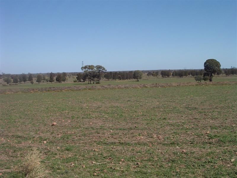 ‘Baramar’ Wallumbilla, Wallumbilla QLD 4428