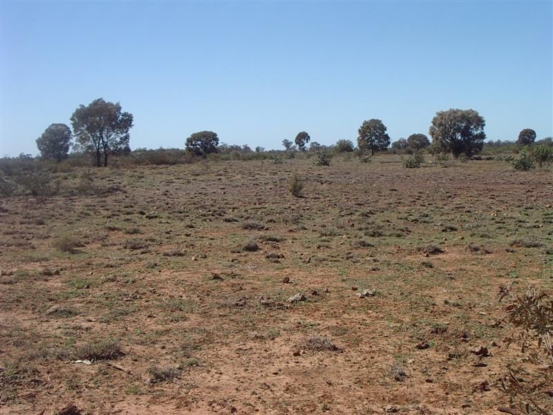 ‘Baramar’ Wallumbilla, Wallumbilla QLD 4428