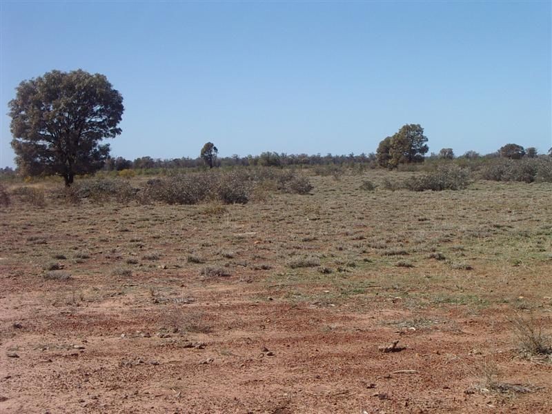 ‘Baramar’ Wallumbilla, Wallumbilla QLD 4428