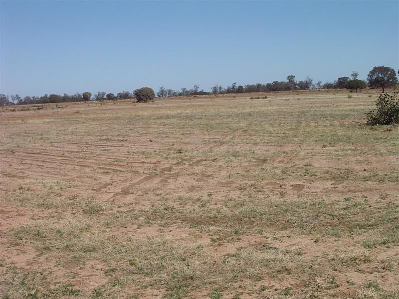 ‘Baramar’ Wallumbilla, Wallumbilla QLD 4428