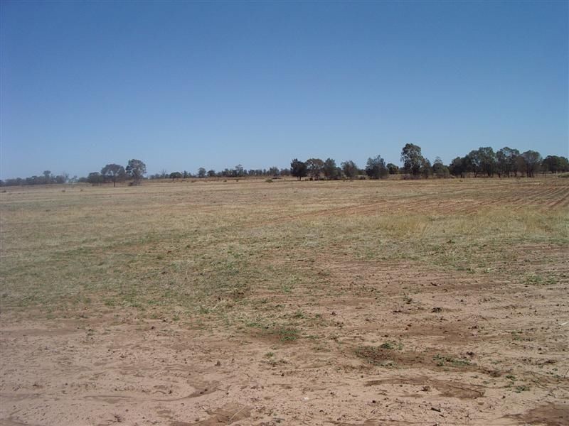 ‘Baramar’ Wallumbilla, Wallumbilla QLD 4428