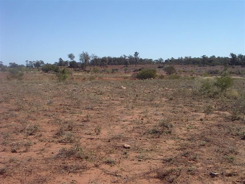 ‘Baramar’ Wallumbilla, Wallumbilla QLD 4428