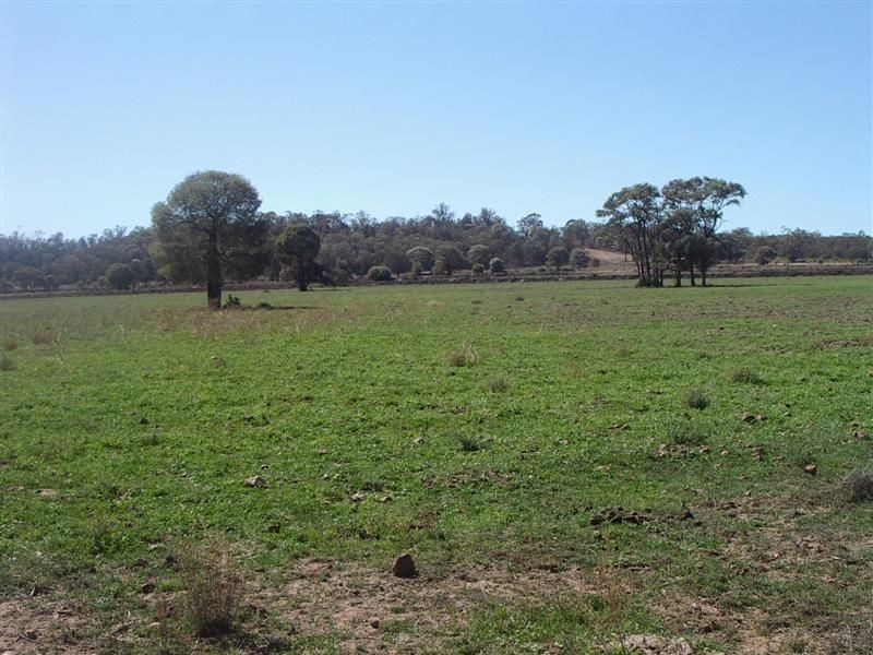 ‘Baramar’ Wallumbilla, Wallumbilla QLD 4428