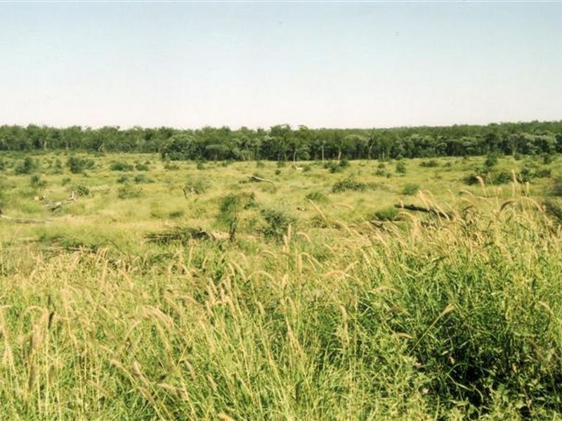 Dunkeld Road, Roma QLD 4455