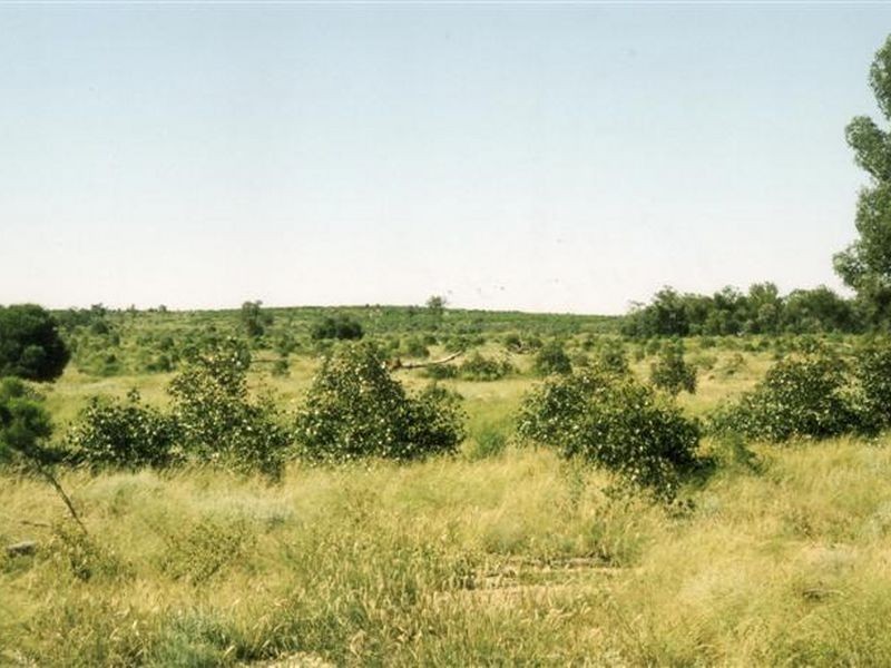 Dunkeld Road, Roma QLD 4455