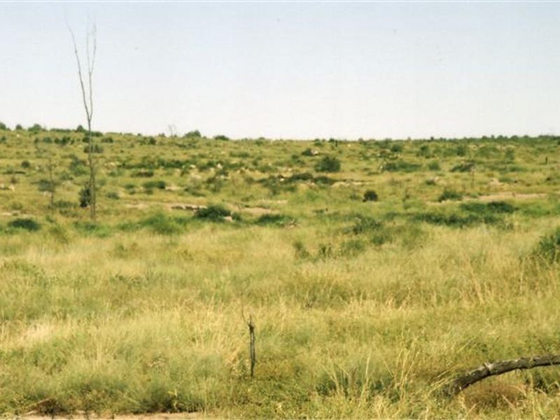 Dunkeld Road, Roma QLD 4455