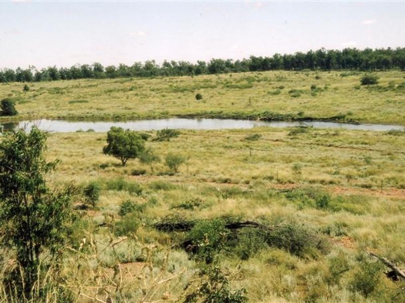 Dunkeld Road, Roma QLD 4455