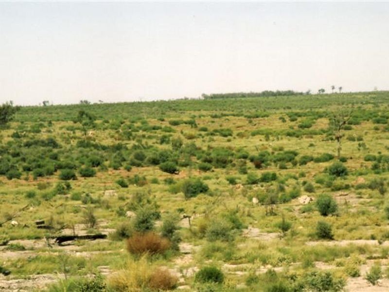 Dunkeld Road, Roma QLD 4455