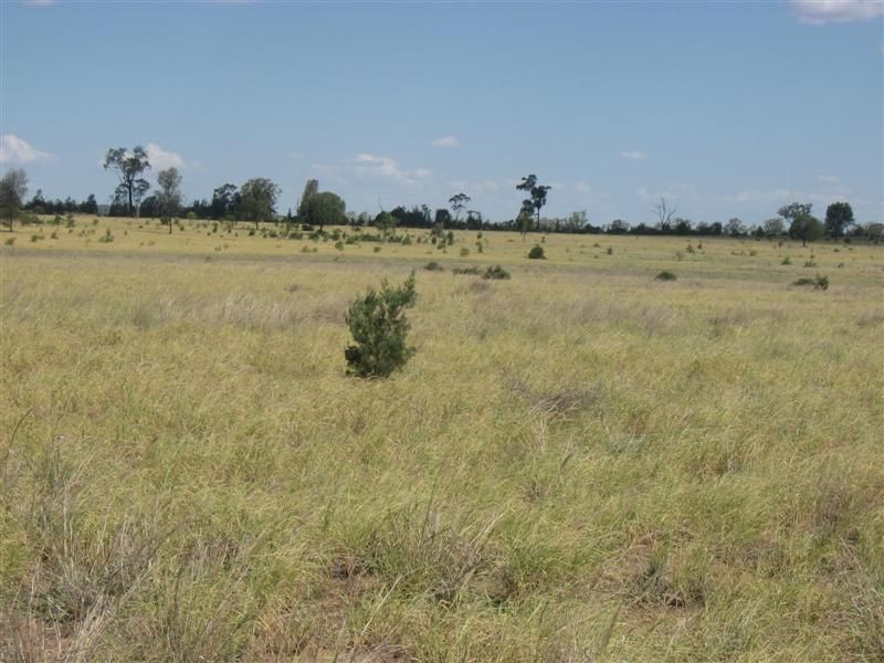 Carnarvon Highway, Roma QLD 4455