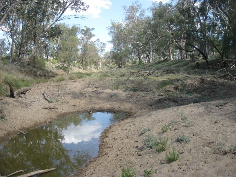 Carnarvon Highway, Roma QLD 4455