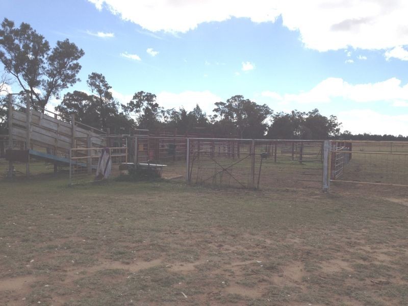 239 Bungeworgorai, Roma QLD 4455