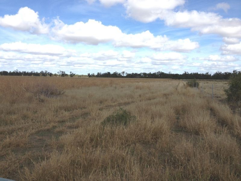 239 Bungeworgorai, Roma QLD 4455