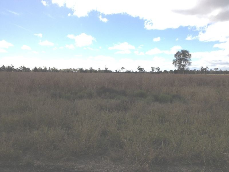 239 Bungeworgorai, Roma QLD 4455