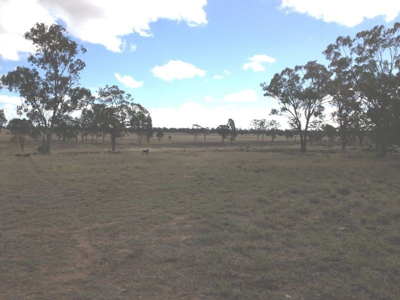 239 Bungeworgorai, Roma QLD 4455