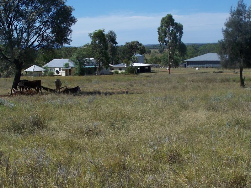 ‘Cornwall’ Orallo Road, Roma QLD 4455