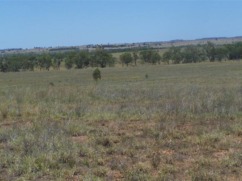 ‘Cornwall’ Orallo Road, Roma QLD 4455