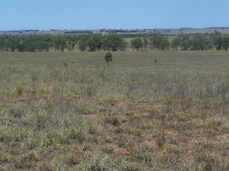 ‘Cornwall’ Orallo Road, Roma QLD 4455