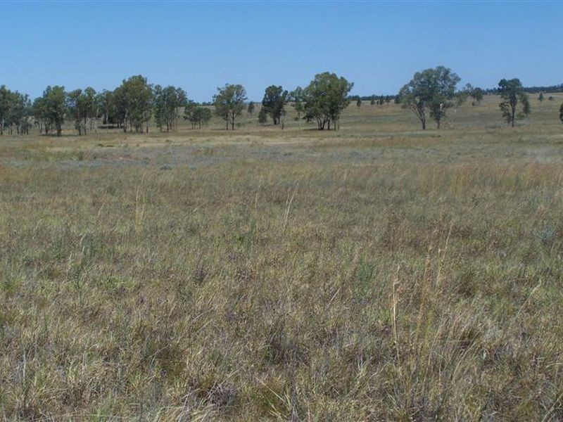 ‘Cornwall’ Orallo Road, Roma QLD 4455