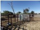 Lot 167 Old Warrego Highway, Wallumbilla QLD 4428