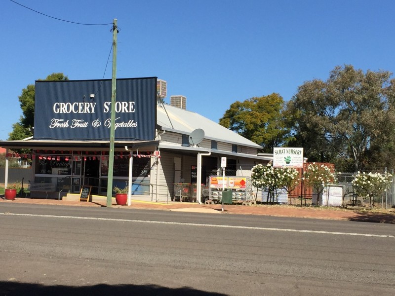 80 Burrowes Street, Surat QLD 4417