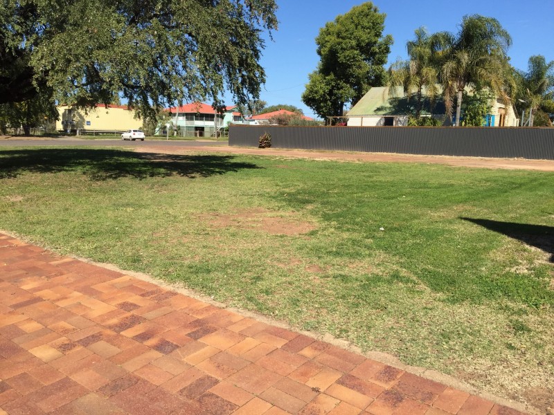 80 Burrowes Street, Surat QLD 4417