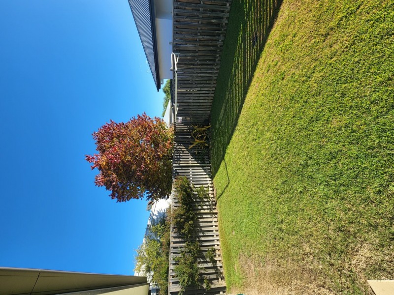 5 Wattle Court, Roma QLD 4455