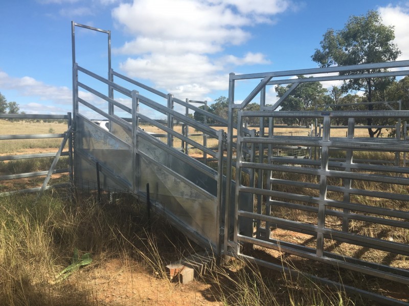 407 Lanreef Road, Roma QLD 4455