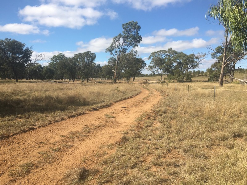 407 Lanreef Road, Roma QLD 4455