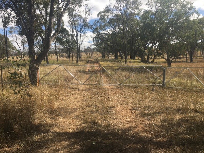 407 Lanreef Road, Roma QLD 4455