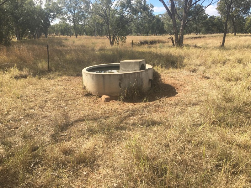 407 Lanreef Road, Roma QLD 4455