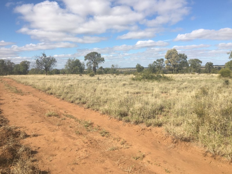 407 Lanreef Road, Roma QLD 4455