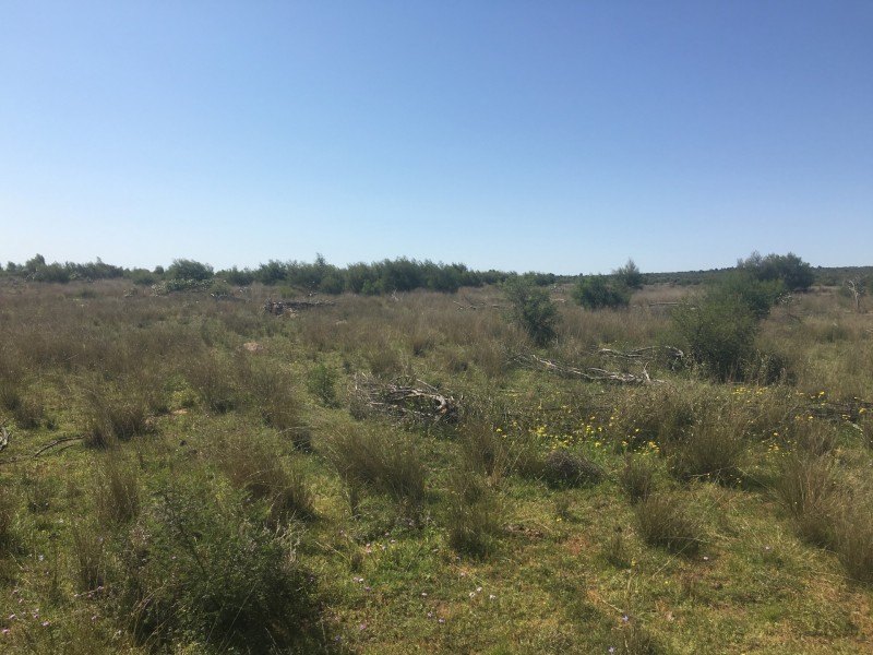 Yanagan/Lot 3 Kinkora Road, Roma QLD 4455