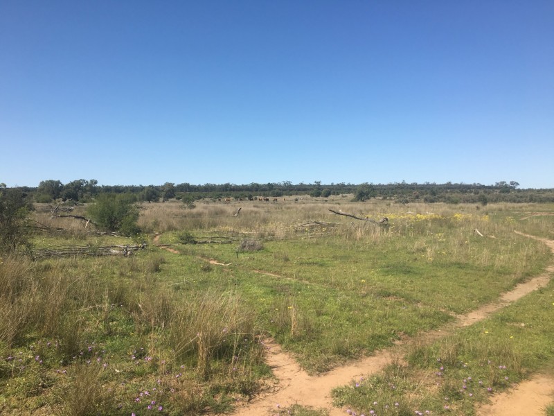Yanagan/Lot 3 Kinkora Road, Roma QLD 4455