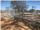 Yanagan/Lot 3 Kinkora Road, Roma QLD 4455