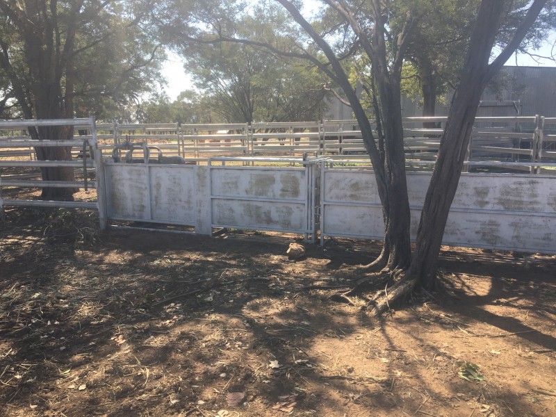 Yanagan/Lot 3 Kinkora Road, Roma QLD 4455
