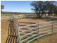 Yanagan/Lot 3 Kinkora Road, Roma QLD 4455