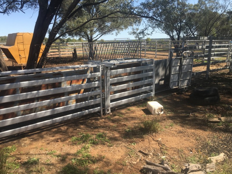 Yanagan/Lot 3 Kinkora Road, Roma QLD 4455