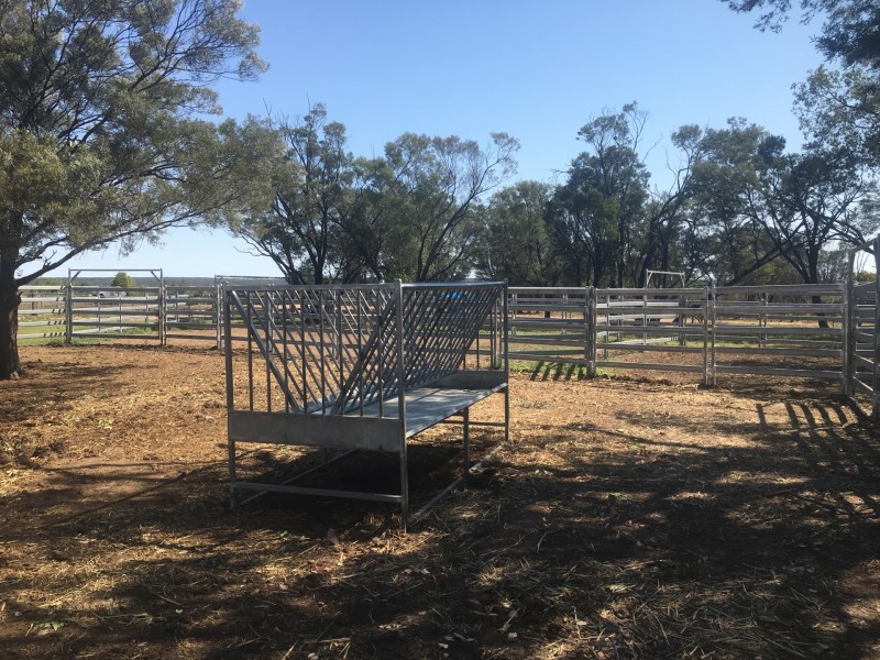 Yanagan/Lot 3 Kinkora Road, Roma QLD 4455