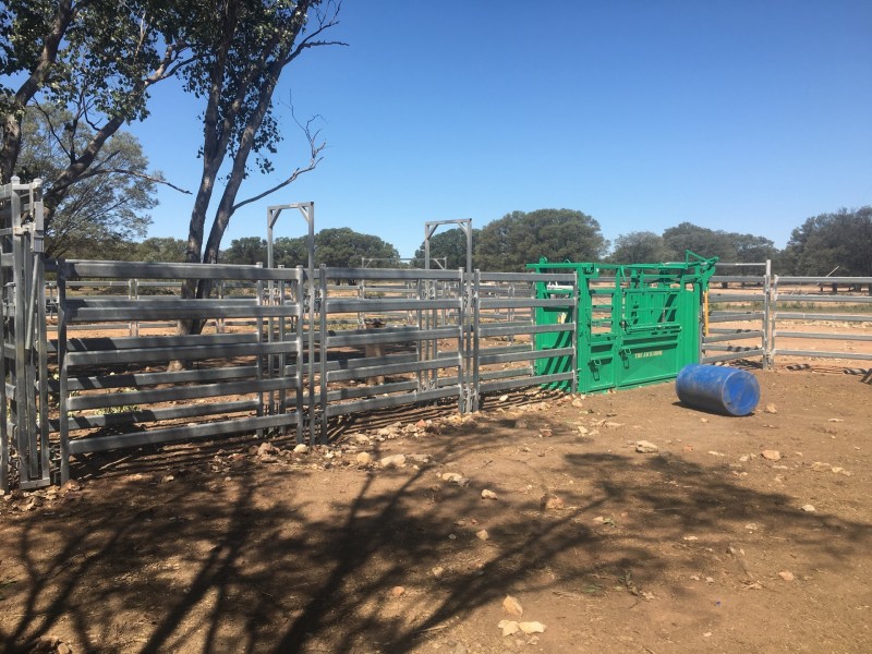 Yanagan/Lot 3 Kinkora Road, Roma QLD 4455