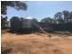 Yanagan/Lot 3 Kinkora Road, Roma QLD 4455